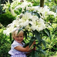 лилия ПРИТТИ ВУМЕН 