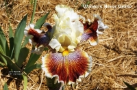 ирис ВОНДЕРС НЕВЕР КЭЙС  Карусель Чудес. 